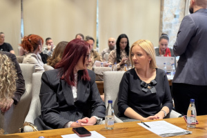 Obuka o digitalnom građanstvu za zapošljene u prosvjeti, 2-3. april 2026, Kolašin