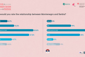 Plenum on Montenegrin-Serbian relations