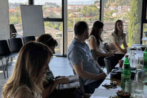 Neformalni sastanak za OCD koje su korisnici sredstava iz I poziva radi umrežavanja i razmjene znanja/iskustava, 10. jul 2025, Podgorica